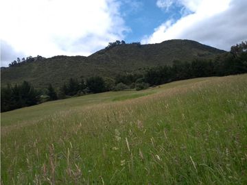 VENTA FINCA EN TENJO.  39.5 FANEGADAS  PLANAS CON VA PAVIMENTADA.