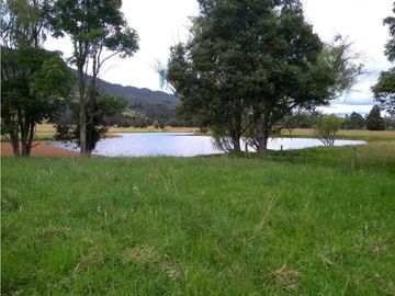 VENTA FINCA EN TENJO.  39.5 FANEGADAS  PLANAS CON VA PAVIMENTADA.