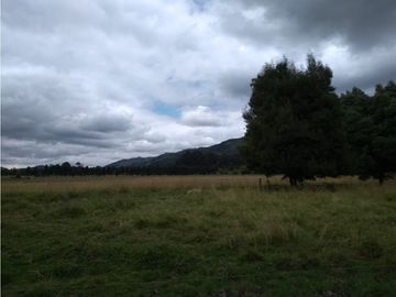 VENTA FINCA EN TENJO.  39.5 FANEGADAS  PLANAS CON VA PAVIMENTADA.