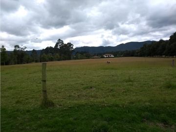 VENTA FINCA EN TENJO.  39.5 FANEGADAS  PLANAS CON VA PAVIMENTADA.