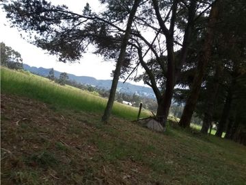 VENTA FINCA EN TENJO.  39.5 FANEGADAS  PLANAS CON VA PAVIMENTADA.