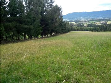 VENTA FINCA EN TENJO.  39.5 FANEGADAS  PLANAS CON VA PAVIMENTADA.