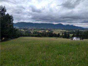 VENTA FINCA EN TENJO.  39.5 FANEGADAS  PLANAS CON VA PAVIMENTADA.