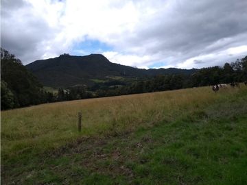 VENTA FINCA EN TENJO.  39.5 FANEGADAS  PLANAS CON VA PAVIMENTADA.