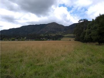 VENTA FINCA EN TENJO.  39.5 FANEGADAS  PLANAS CON VA PAVIMENTADA.