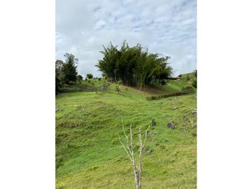 VENTA FINCA MARINILLA VIA EL PEÑOL, ANTIOQUIA, COLOMBIA