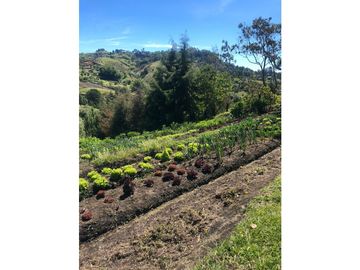 VENTA FINCA MARINILLA VIA EL PEÑOL, ANTIOQUIA, COLOMBIA