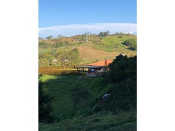 VENTA FINCA MARINILLA VIA EL PEÑOL, ANTIOQUIA, COLOMBIA
