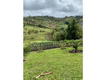 VENTA FINCA MARINILLA VIA EL PEÑOL, ANTIOQUIA, COLOMBIA