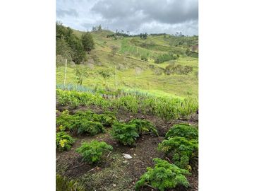 VENTA FINCA MARINILLA VIA EL PEÑOL, ANTIOQUIA, COLOMBIA