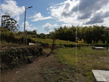 VENTA FINCA VEREDA LA JULIA FILANDIA QUINDO