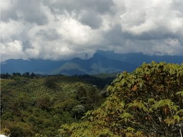 VENTA FINCA VEREDA LA JULIA FILANDIA QUINDO