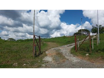 VENTA FINCA VEREDA LA JULIA FILANDIA QUINDO