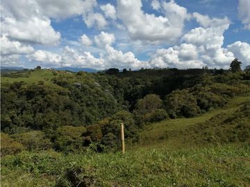 VENTA FINCA VEREDA LA JULIA FILANDIA QUINDO