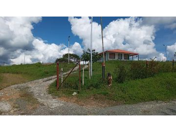 VENTA FINCA VEREDA LA JULIA FILANDIA QUINDO