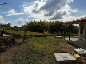 VENTA FINCA VEREDA LA JULIA FILANDIA QUINDO