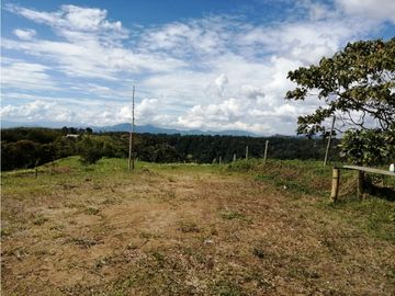 VENTA FINCA VEREDA LA JULIA FILANDIA QUINDO