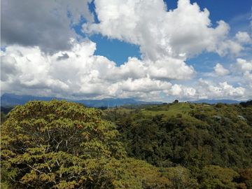 VENTA FINCA VEREDA LA JULIA FILANDIA QUINDO