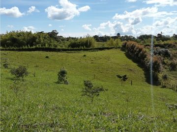 VENTA FINCA VEREDA LA JULIA FILANDIA QUINDO
