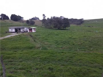 Lote en Venta en  Yarumal, sobre la Troncal.