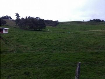 Lote en Venta en  Yarumal, sobre la Troncal.
