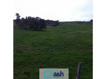 Lote en Venta en  Yarumal, sobre la Troncal.