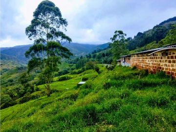 Lote en Venta en  Yarumal, sobre la Troncal.