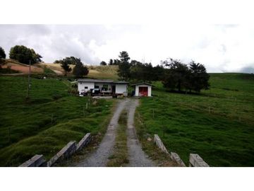 Lote en Venta en  Yarumal, sobre la Troncal.