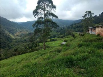 Lote en Venta en  Yarumal, sobre la Troncal.