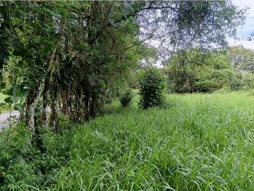 SE VENDE LOTE DE  5 HECTREAS CHIRIQUI BONGO ABAJO