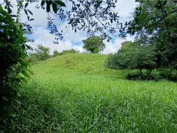 SE VENDE LOTE DE  5 HECTREAS CHIRIQUI BONGO ABAJO