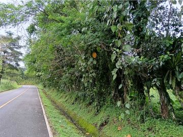 SE VENDE LOTE DE  5 HECTREAS CHIRIQUI BONGO ABAJO