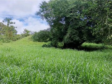 SE VENDE LOTE DE  5 HECTREAS CHIRIQUI BONGO ABAJO