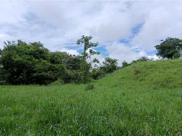SE VENDE LOTE DE  5 HECTREAS CHIRIQUI BONGO ABAJO