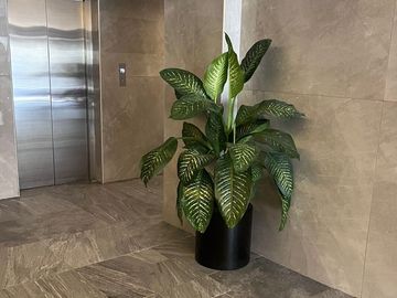 VENTA DEPARTAMENTO Colonia Cuauhtémoc