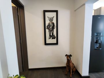 VENTA DEPARTAMENTO Colonia Cuauhtémoc