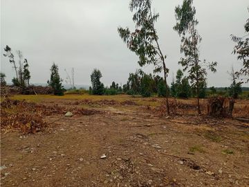 Venta Terrenos 900 m2, SIN COMISION en la Carretera F190 , a minutos de concón