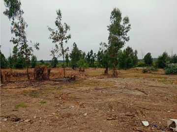 Venta Terrenos 900 m2, SIN COMISION en la Carretera F190 , a minutos de concón