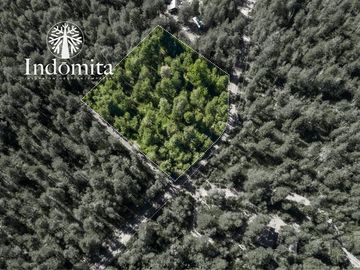 Parcela en Venta en ensenada