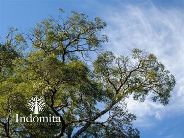 Parcela en Venta en ensenada