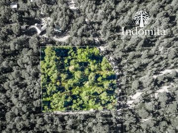 Parcela en Venta en ensenada