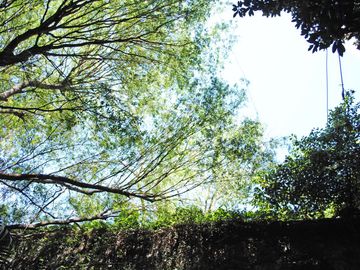 Venta increible PB con jardín - en Parera y Guido