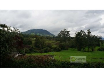 casa campatre en setor el yarumo