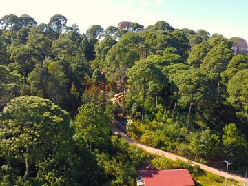 Cabaña en Mazamitla La Cofradía con vista al bosque ideal para inversión