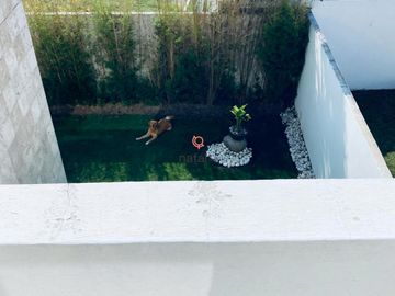 CASA EN VENTA vista real SAN BERNARDINO TLAXCALANCINGO PUEBLA