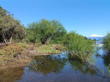 Espectacular terreno de 1 ha orilla de lago Panguipulli