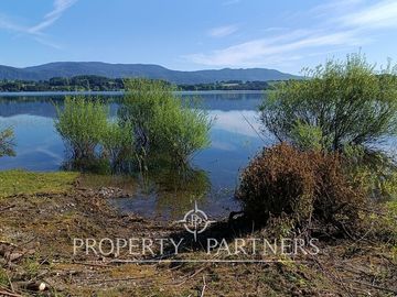 Espectacular terreno de 1 ha orilla de lago Panguipulli