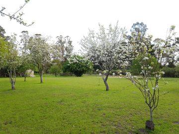 Casa en  Ruta 226 KM 24.5