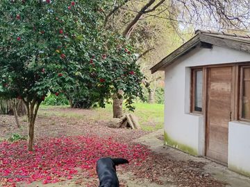 Casa en  Ruta 226 KM 24.5