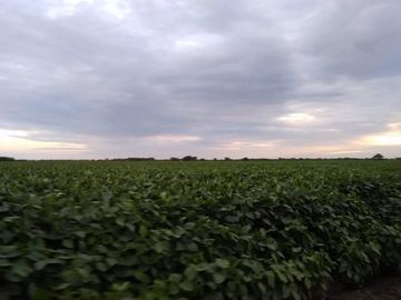 Campo - Fortin Inca